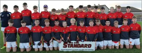  ??  ?? The Sarsfields squad prior to their narrow defeat to Naomh Eanna in the New Ross Standard Under-14 football Division 1 decider.