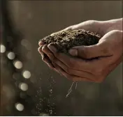  ?? PHOTO BY GABRIEL JIMINEZ ?? Healthy soil contains organic material that provides the nutrients plants need. Soil also helps mitigate climate change by sequesteri­ng carbon.