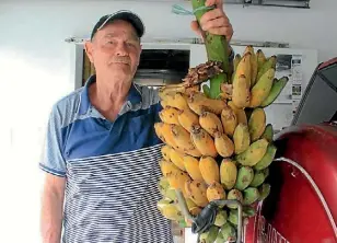  ?? RENEE CLAYTON/STUFF ?? Frank presents his biggest bunch of bananas.