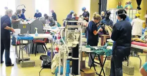  ??  ?? HARD AT WORK: A hall at the Motherwell NU29 Community Centre was turned into makeshift theatres where 17 veterinary surgeons operated