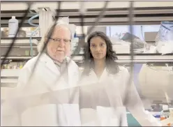  ?? Ilana Panich-Linsman/The Washington Post ?? Jim Allison and Padmanee Sharma are longtime research collaborat­ors who married in 2014. At the MD Anderson Cancer Center in Houston, the two are trying to push the frontier of immunother­apy.