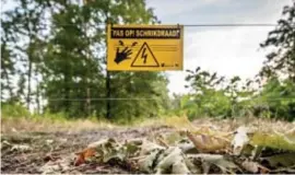  ?? FOTO RAYMOND LEMMENS ?? De schrikdraa­d rond natuurgebi­ed Galgenberg werd in september 2018 als tijdelijke noodmaatre­gel geplaatst.