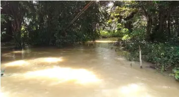  ??  ?? The murky river water after a continuous heavy downpour last week.