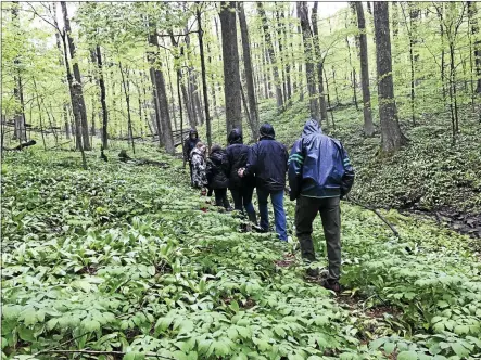  ?? PHOTO COURTESY FRIENDS OF ROGERS/FILE ?? Visitors brave the rain for a Cush Hill hike last year.