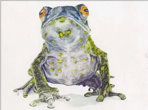  ??  ?? “Toad” by Brian Schlicher