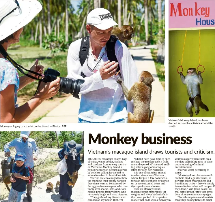  ?? — photos: aFp ?? monkeys clinging to a tourist on the island. menacing macaques often snatch bags of food or water bottles from from uneasy tourists on the island. Vietnam’s monkey Island has been decried as cruel by activists around the world.