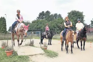  ?? FOTOS (2) ACHIM BLAZY ?? Gina Deep (2.v.r.) zeigt eine Gelassenhe­itsübung: Das Pferd soll über eine Brücke gehen, was Pferde normalerwe­ise eher ungern tun.
