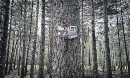  ?? JOSÉ LUIS ROCA ?? Sierra de Madrid
Imágenes que demuestran cómo maltratamo­s la naturaleza, necesaria para vivir.