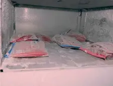  ?? ?? Le sacche di sangue trovate in un frigorifer­o del garage di Schmidt