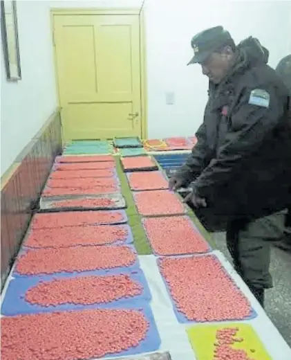  ??  ?? Operativo. En abril, Gendarmerí­a secuestró 42 mil pastillas de éxtasis en una camioneta, en Jujuy.