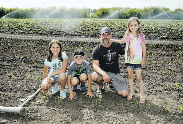  ?? LARRY WONG ?? Aaron Herbert with children Evie, Layne and Carly check a corn and potato field at Riverbend Gardens in northeast Edmonton on Friday. The family is relieved a new route has been selected for a bridge between Fort McMurray and industrial areas in south...