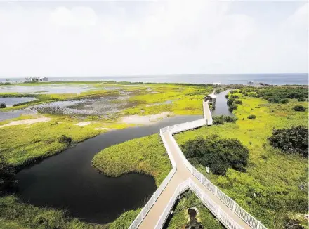  ?? Pam LeBlanc / Austin American Statesman ?? Visitors to the South Padre Island Birding and Nature Center can climb a five-story tower or stroll a boardwalk.