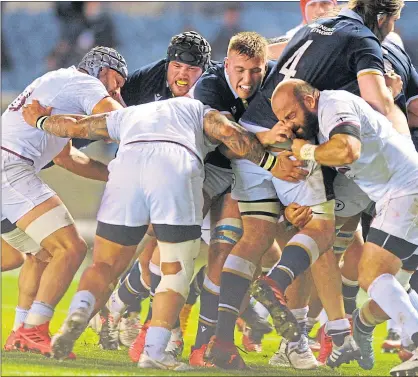  ??  ?? Brothers in arms – Zander and Matt Fagerson side-by-side together against Georgia for Scotland