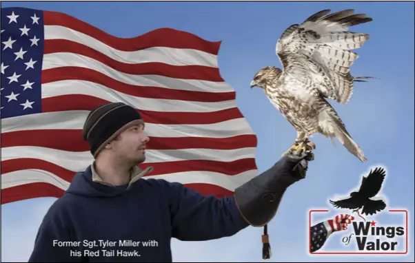  ?? Hanah Warburton Photograph­y ?? Former Sgt.Tyler Miller is shown with his Red Tail Hawk.