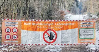  ?? FOTO: CHRISTOPH WARTENBERG ?? Im Bereich Hohe Tannen und Birkenweg beginnen Baumfällak­tionen.