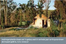  ?? FOTO: VERSKAF ?? Indringerp­lante staan om ’n gebou wat in verlede jaar se Knysna-brande in puin gelê is.