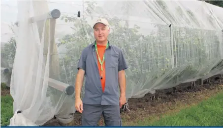  ??  ?? Grâce à la diminution du nombre d’insectes ayant accès aux pommiers, les filets pourraient être un rempart contre la propagatio­n du feu bactérien, croit le chercheur Gérald Chouinard.