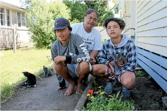  ?? KRIS BOULT/ STUFF ?? Laani Davis, nephew Cyrus, 14, and son Kaya, 12, plan to put a memorial in their garden after their cat was mauled by dogs inPa¯ tea.