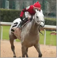  ?? (The Sentinel-Record/Richard Rasmussen) ?? Silver Prospector and jockey Ricardo Santana won the Southwest Stakes at Oaklawn in Hot Springs on Feb. 17. The two will pair again today in the Grade II, $1 million Rebel Stakes.