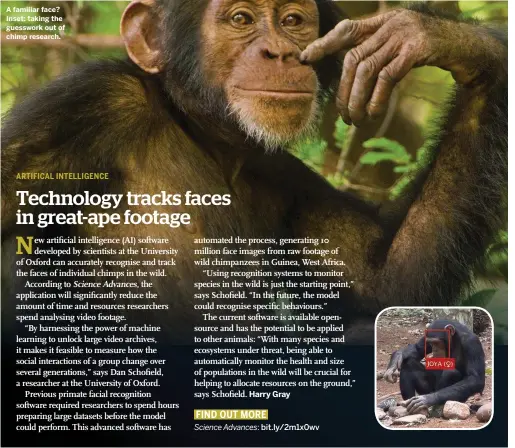  ??  ?? A familiar face? Inset: taking the guesswork out of chimp research.