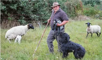  ??  ?? Schäfer Stefan Ampferl aus Kösching hat rund 90 Schafe und 20 Ziegen am Ochsenthom­er Berg im Einsatz. Und der Nachwuchs ist auch schon dabei. Auf die Herde achtet Hütehund Samy.