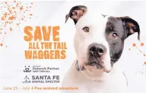  ?? COURTESY OF SANTA FE ANIMAL SHELTER ?? The Santa Fe Animal Shelter is participat­ing in a New Mexico fundraisin­g drive to cover the $25 adoption fee for a future family at more than 260 shelters across the state.