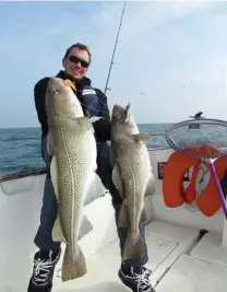  ??  ?? Ce doublé de morue a été pris en pêche à gratter dans plus de 50 m de fond. Un teaser a été placé au-dessus du leurre souple.