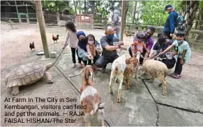  ?? ?? at Farm In The City in seri Kembangan, visitors can feed and pet the animals. — raja Faisal HISHAN/THE star