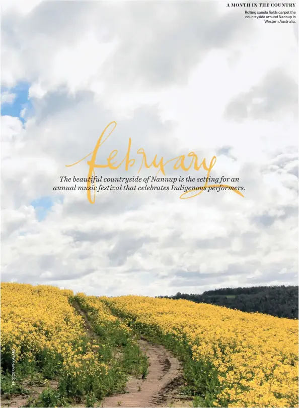  ??  ?? Rolling canola fields carpet the countrysid­e around Nannup in Western Australia.