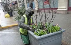  ?? Pam Panchak/Post-Gazette ?? Skylar King, of Turtle Creek, plants spring flowers Thursday along Smithfield Street in Downtown.