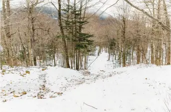  ?? ?? The John Sherburne Ski Trail in New Hampshire is shown in early January after multiple December rainstorms left it without enough snow for skiing. The trail is used as the exit route from Mount Washington’s famed Tuckerman Ravine. It was cut by the Civilian Conservati­on Corps in 1934.