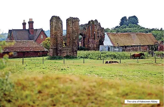  ?? ?? The ruins of Halesowen Abbey