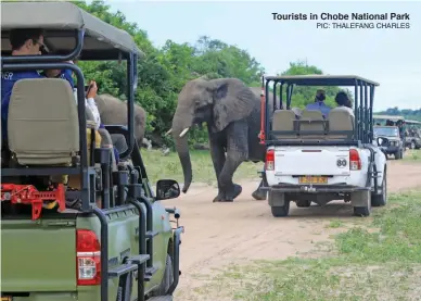  ?? PIC: THALEFANG CHARLES ?? Tourists in Chobe National Park