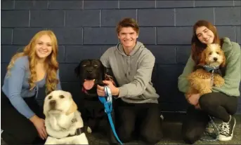  ?? ANNE RUNKLE — THE OAKLAND PRESS ?? Oxford High School students Caylee Beebe, from left, Hunter Burbas and Lea Rauh enjoy some time with therapy dogs Santo, from left, Bean and Oscar.