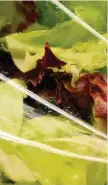  ?? Foto: dpa ?? Abgepackte­r Salat kann eine erhöhte Keimbelast­ung aufweisen.