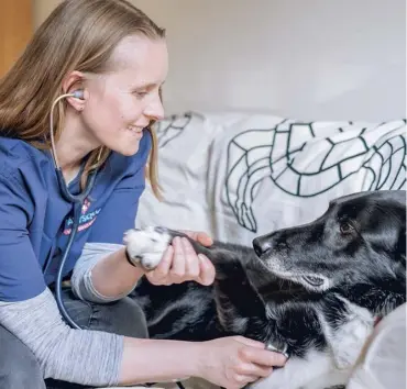  ??  ?? Caring touch: Pawsquad vets get to know the animals they look after.