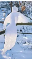  ??  ?? Platz zwei geht an Iris Stumpen.
Sie nennt ihr Foto „Himmlische Schneeverw­ehung“und erklärt: „Einen magischen Moment erlebte ich bei einem Waldspazie­rgang. Auf einem Ast entdeckte ich eine Schneeverw­ehung in Engelsgest­alt, den Kopf bekam der Himmelsbot­e von mir geschenkt.“