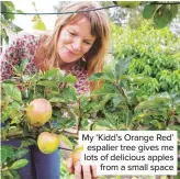 ??  ?? My ‘Kidd’s Orange Red’ espalier tree gives me lots of delicious apples from a small space