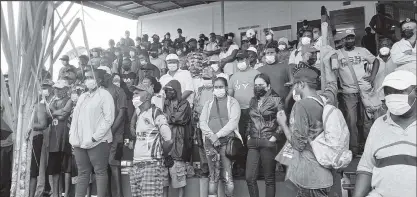  ?? ?? Sugar workers during the distributi­on yesterday