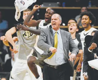  ?? Andy Cross, The Denver Post ?? Colorado coach Tad Boyle gets fired up when the Buffs do well, which they did in a recent sweep of UCLA and USC in Los Angeles.