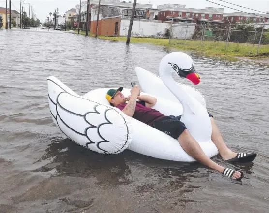  ?? SWAN LAKE: Julio Ostio sits and texts in an inflatable swan as he floats down 16th Street in Galveston, Texas after Hurricane Harvey hit. Picture: AP ??