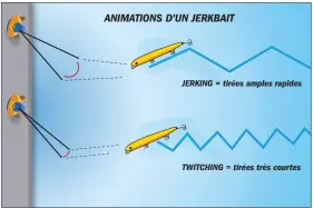  ??  ?? Pour animer un jerkbait, on peut imprimer une succession de tirées amples et rapides (jerkbait) ou des tirées courtes et sèches (twitching).