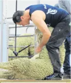  ?? PHOTO: ODT ARCHIVES ?? Shearing contractor Dion Morrell, of Alexandra, competing in last year’s New Zealand Merino Shears competitio­n in Alexandra.