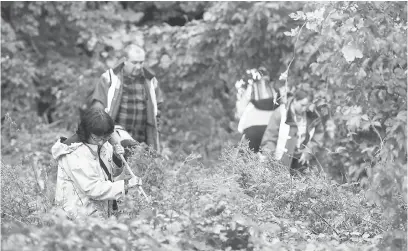  ?? — Gambar AFP ?? SEHINGGA KE LUBANG CACING: Orang awam yang menyertai misi mencari dan menyelamat sedang mencari di dalam hutan selepas Maelys dilaporkan hilang pada minggu lalu.