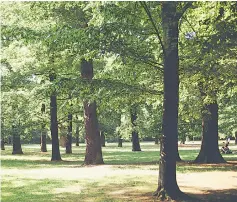  ??  ?? Living a few blocks away from green space could be good for the mental health of teenagers and seniors, according to new research.