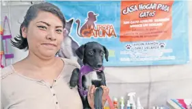  ??  ?? La Tropa Gatuna atiende a 180 gatos y 25 perros que esperan ser adoptados; diario consumen más de 20 kilos de alimento. En la imagen Ana Palomino, hija de la fundadora, carga a Banana.