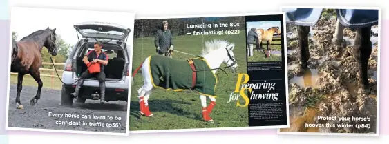  ??  ?? Every horse can learn t o be confident in traffic (p36) Lungeing in the 80s — fascinatin­g! (p22) Protect your horse’s hooves this wint er (p84)