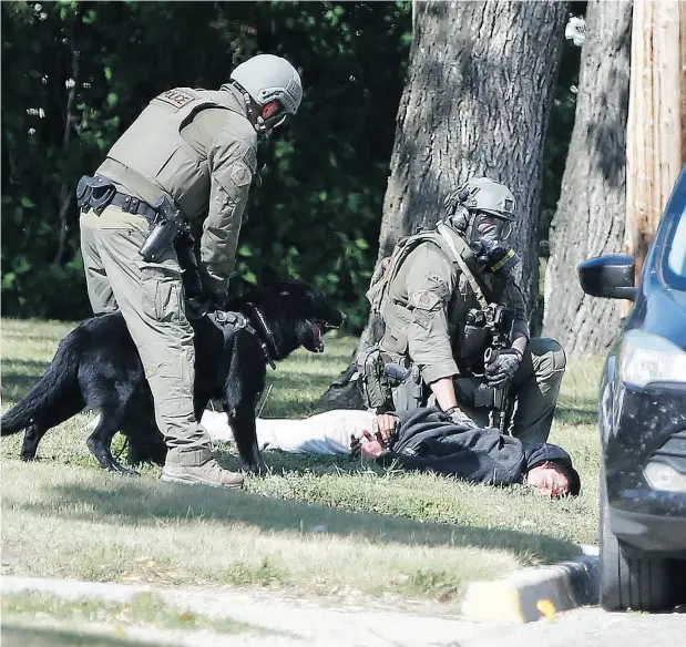  ?? JOHN WOODS / THE CANADIAN PRESS ?? RCMP officers make an arrest in Neepawa, Man., on Thursday following the shooting of an RCMP corporal near Onanole, Man.