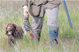  ?? Pictures: PA. ?? Clockwise from far left: Archie Ward, with Milo the dog, a member of a shooting party on the moors at the Rottal Estate in Glen Clova, near Kirriemuir, yesterday; a successful shot; the party’s Robin LeslieMelv­ille.