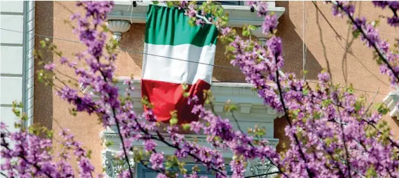  ??  ?? Primavera
Un albero fiorito per le strade di Roma e un Tricolore appeso fuori da un davanzale: scene dalla primavera al tempo del coronaviru­s